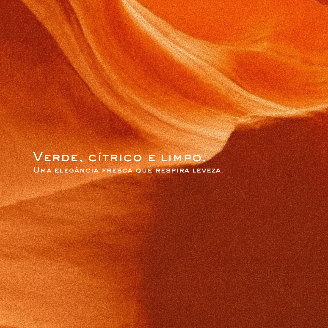 BRISE DE BERGAMOTE 200ml