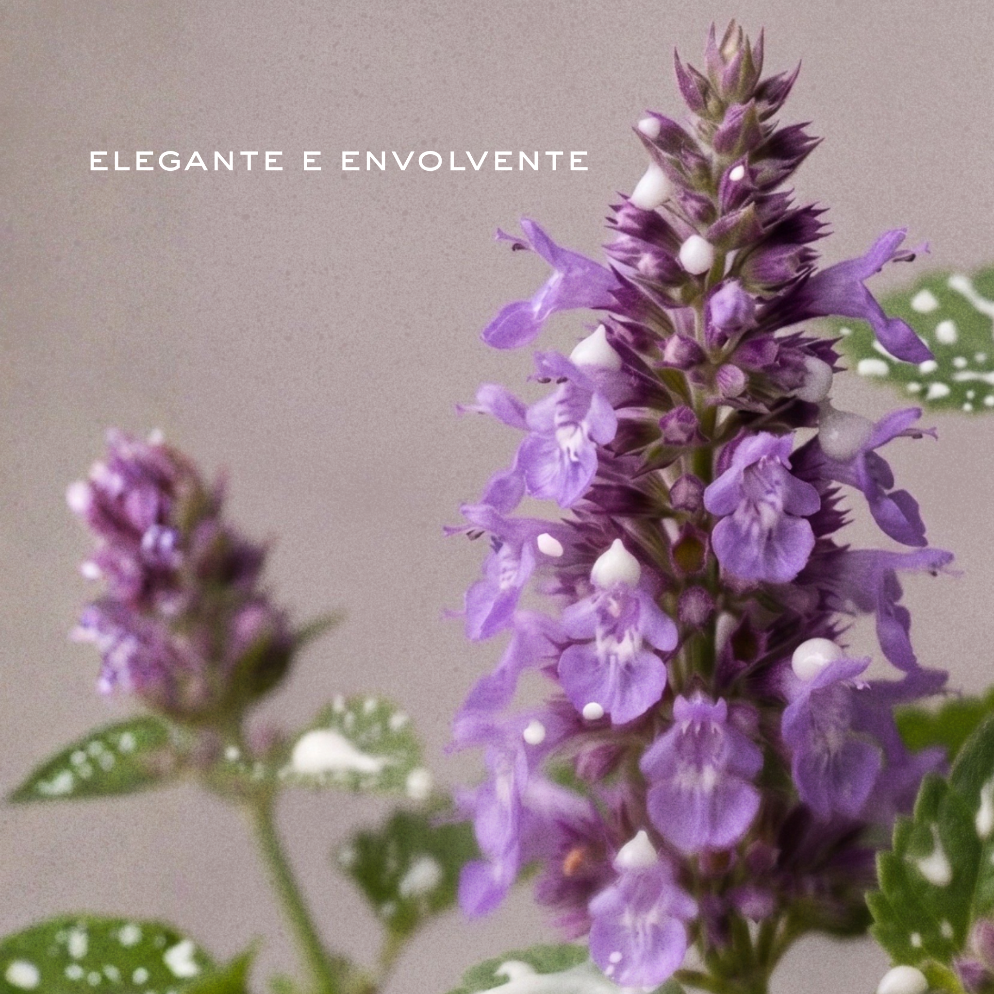 POLPA BRUME DE PATCHOULI