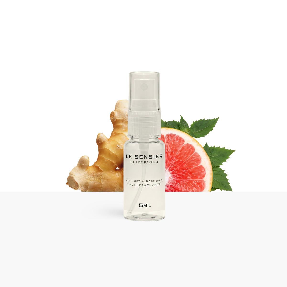 SORBET GINGEMBRE 5ML